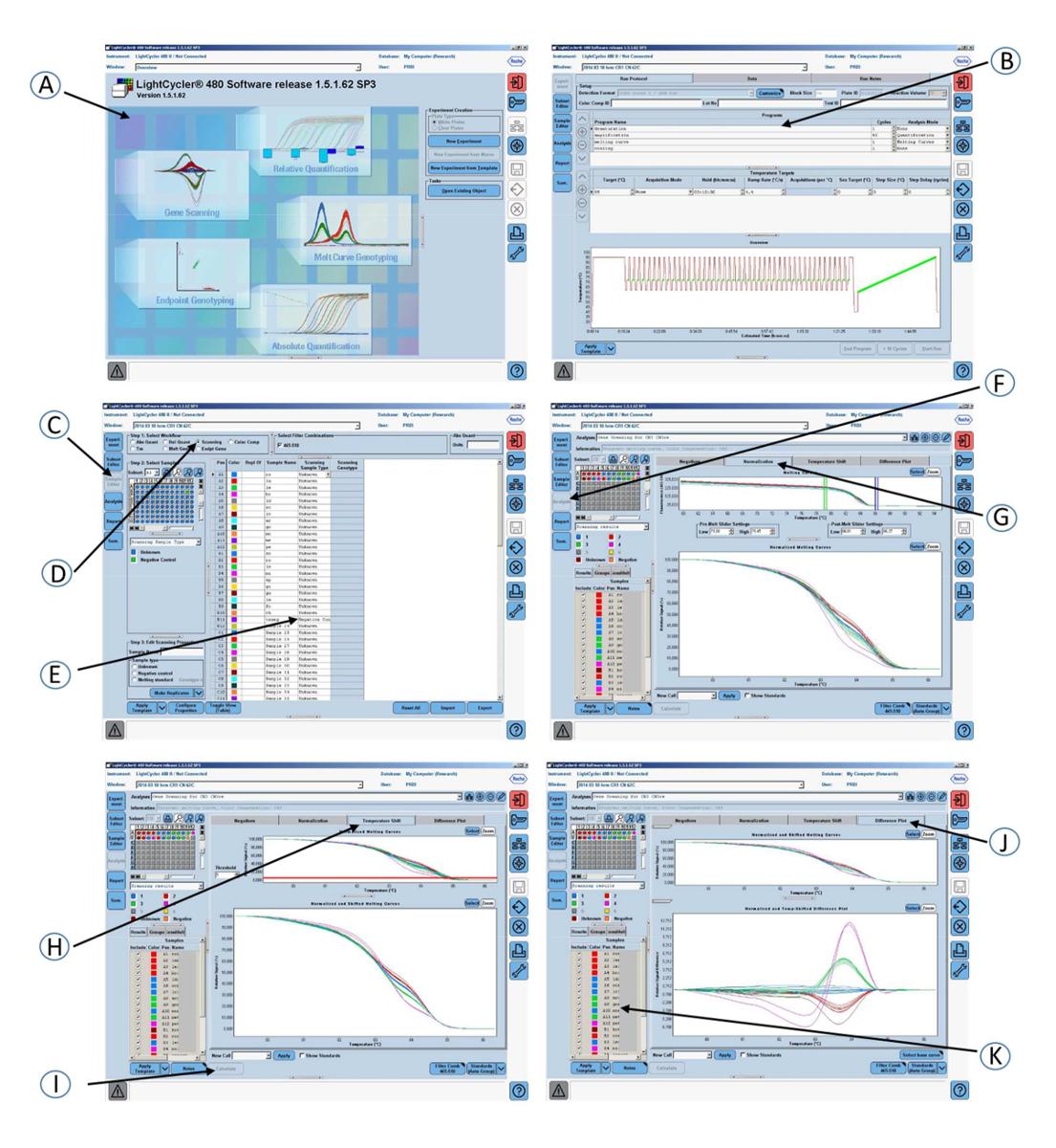 Real-time PCR analysis setup, LightCycler software interface, data visualization, quantification curves.