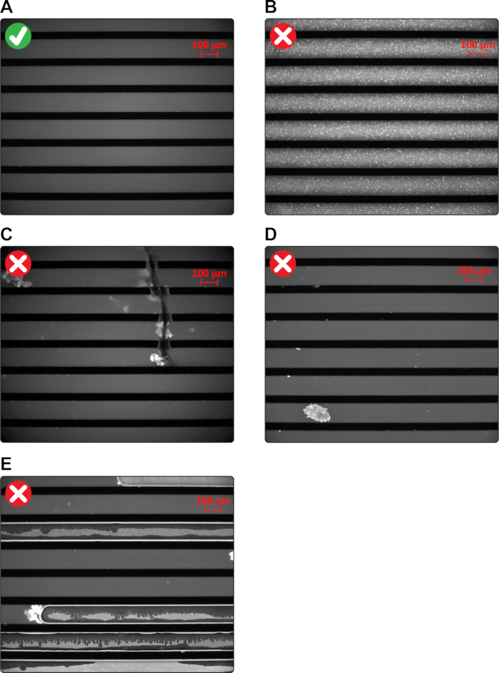 figure-results-1 Microscopy images of striped patterns; comparison of clean versus contaminated samples; scale 100μm.