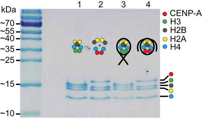 figure-results-2 figure-results-2