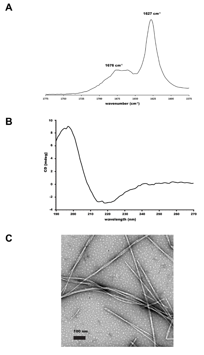 figure-results-1 FTIR spectra 1627/1676 cm⁻¹ (A), CD spectrum 190-270 nm (B), TEM nanofibers 100 nm scale (C).