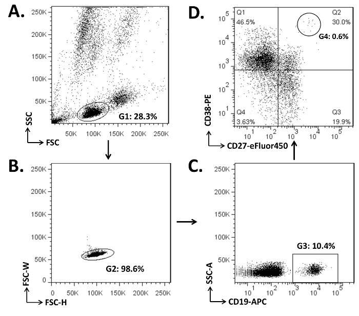 Flow cytometry diagram; cell population analysis; forward scatter, side scatter, CD27, CD38 markers.