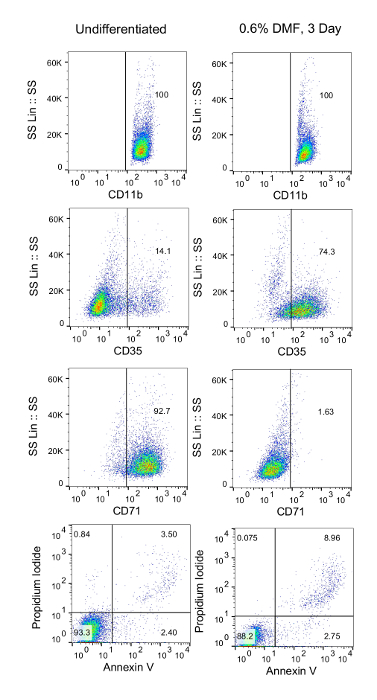 Flow cytometry analysis: scatter plots with CD markers, Annexin V, Propidium Iodide, cell differentiation.
