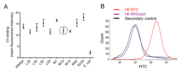 figure-results-1 figure-results-1