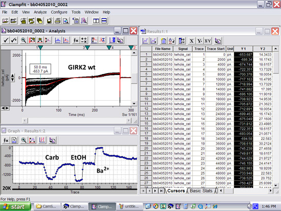 Electrophysiology data analysis chart; GIRK2 wt current traces; Clampfit software interface.