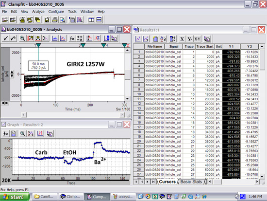 Electrophysiology data analysis, GIRK2 L257W, ion channels, Clampfit diagrams, signal graph results.