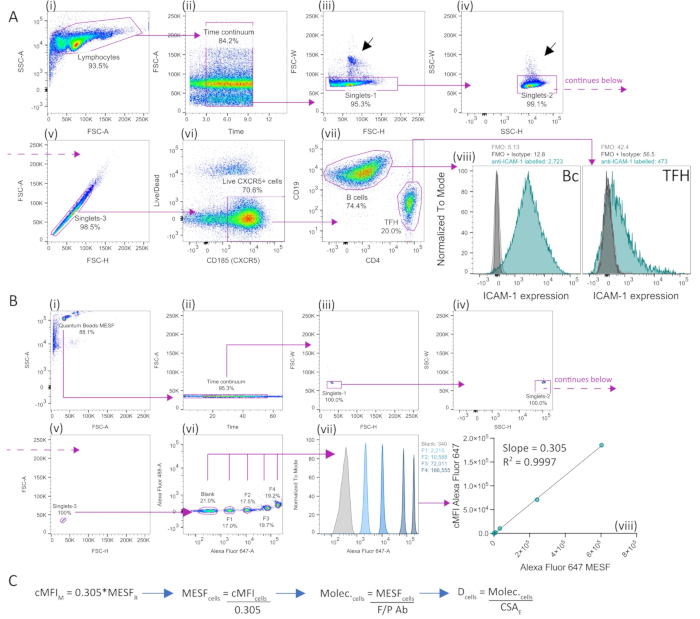 Flow cytometry data analysis showing ICAM-1 expression; includes various gating strategies, graph.