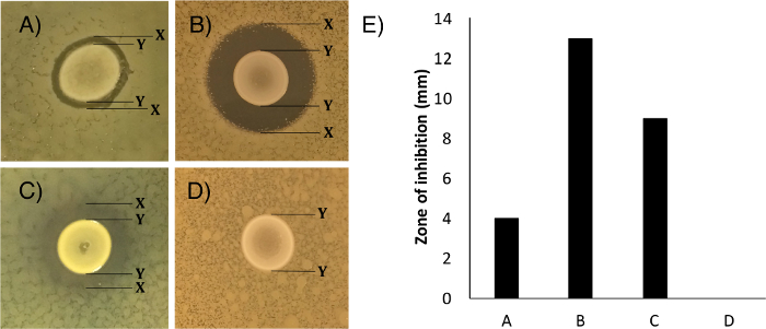 figure-results-1 Antibiotic diffusion assay results; A-D zones; E bar chart; antimicrobial efficacy comparison.