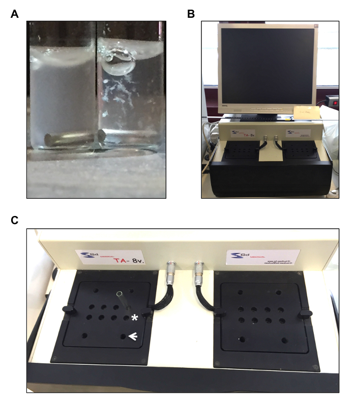 Chromatography setup showing liquid phase separation, experimental workstation, detection units.