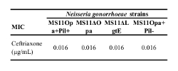 figure-protocol-1 Neisseria gonorrhoeae strains MIC table comparing ceftriaxone resistance in different genetic variants.