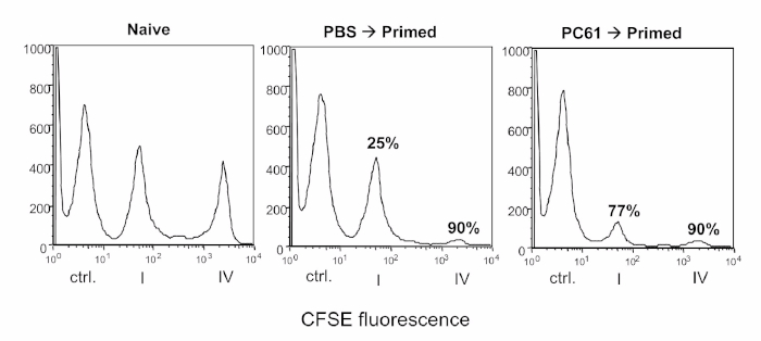 figure-results-1 CFSE fluorescence histogram, cell proliferation analysis, cytometry experiment, Naive-PBS-PC61 comparison.