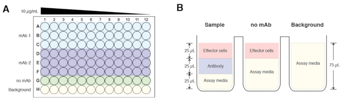 figure-results-1 Plate assay diagram and setup for antibody titration; shows sample, no mAb, and background controls.