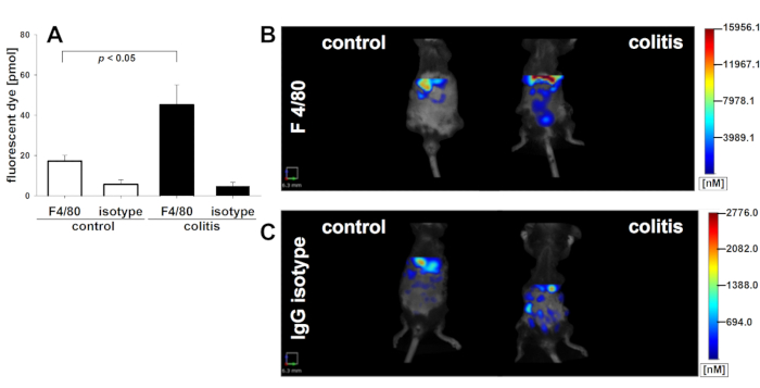 Fluorescent dye analysis in colitis; bar chart, imaging results, F4/80 and IgG isotype comparison.