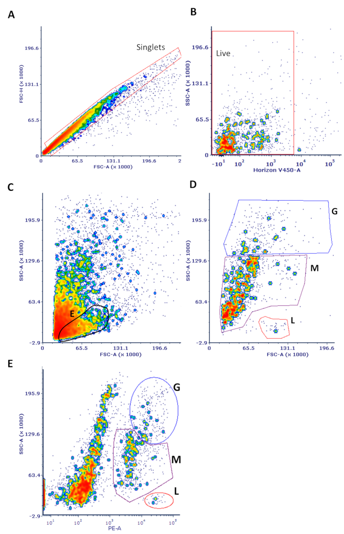 Flow cytometry graphs, cell population gating analysis, live singlets differentiation, FSC/SSC data.