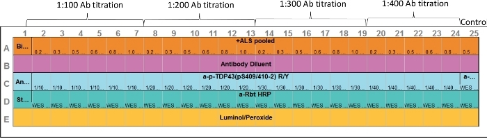 Antibody titration chart; ELISA plate layout for ALS pooled sample, luminol/peroxide detection.