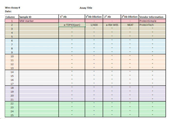 figure-protocol-1 Wes blot assay table; antibody details, dilution factors, vendor info; protein analysis setup.