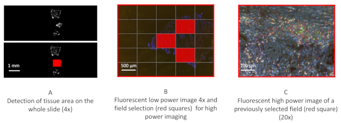 figure-results-2