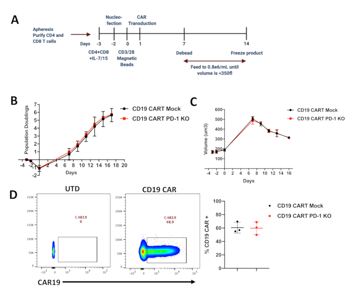 figure-results-1 CAR T-cell process and results: methodology timeline, growth charts, flow cytometry analysis.