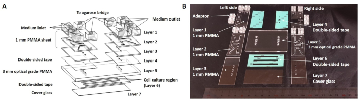 Microfluidic device diagram and photo, layer setup for cell culture, PMMA sheets, double-sided tape.