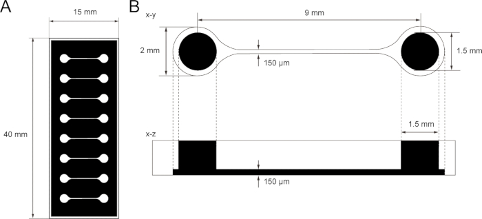Microfluidic device design; schematic diagrams A and B with dimensions and detailed channel layout.