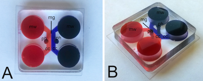 Microfluidic device images A and B with color-coded components for chemical reaction analysis diagram.