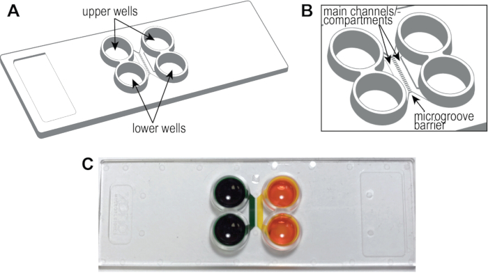 figure-results-1 Microfluidic device diagram, labeled wells and channels, for cell culture and separation studies.