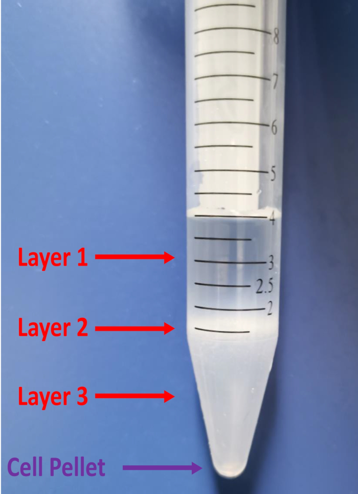 figure-results-2