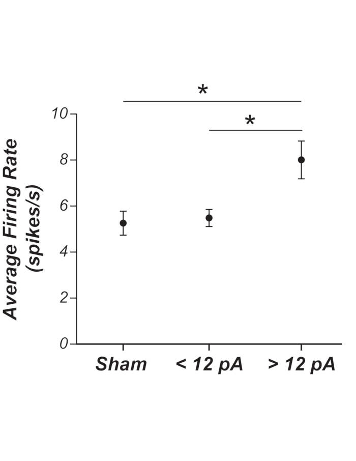 Average firing rate bar graph; statistical analysis of neuronal activity, spikes/s, error bars.