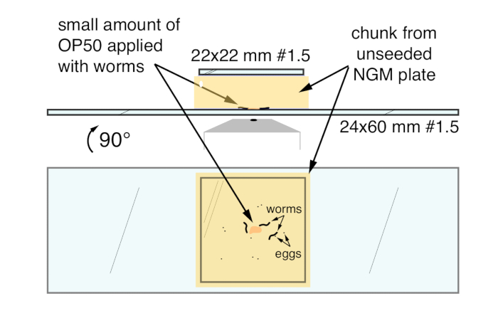 figure-results-1