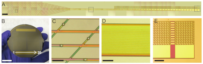 Photonic circuit design; diagrams of waveguides, optical splitter on silicon wafer; microscopy results.