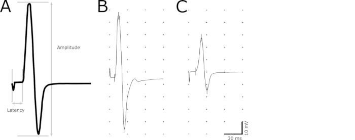 figure-results-2 figure-results-2