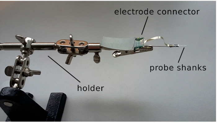 figure-results-1 Electrophysiology setup with electrode connector, probe shanks, holder; neural signal measurement.