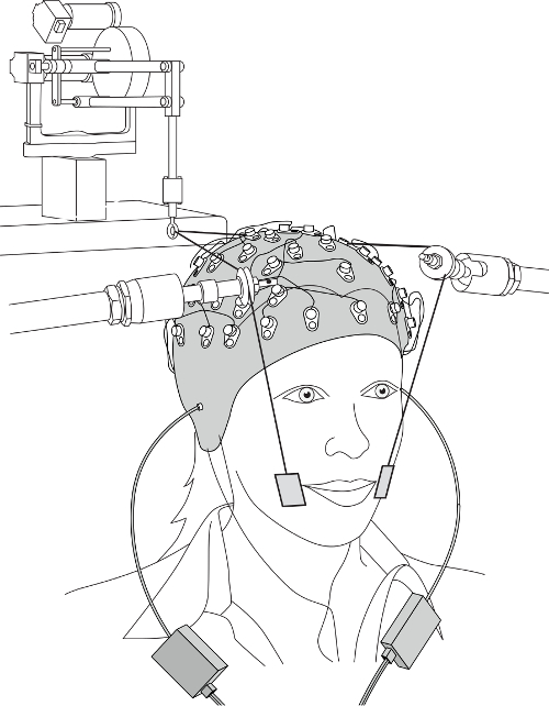 EEG setup diagram; brain activity measurement using electrodes for neuroscience research.