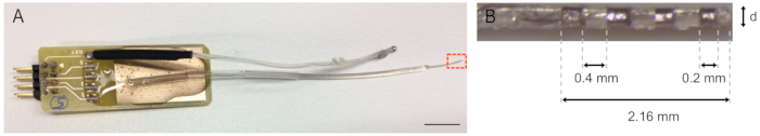 Microelectrode design and dimensions; component layout and precise measurement diagram for electrical studies.