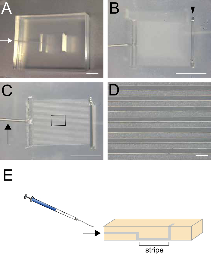 figure-results-1 Microfluidic device setup for material injection; detailed diagram with channels, syringe insertion.