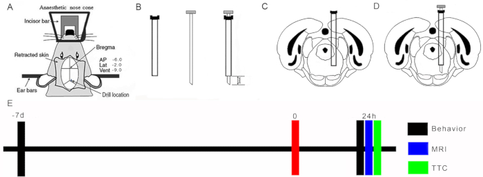 figure-results-2