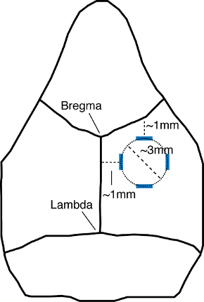 figure-results-1