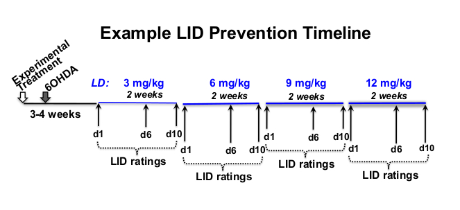 figure-results-1 LID prevention timeline diagram, showing experimental treatment duration and LID rating intervals.