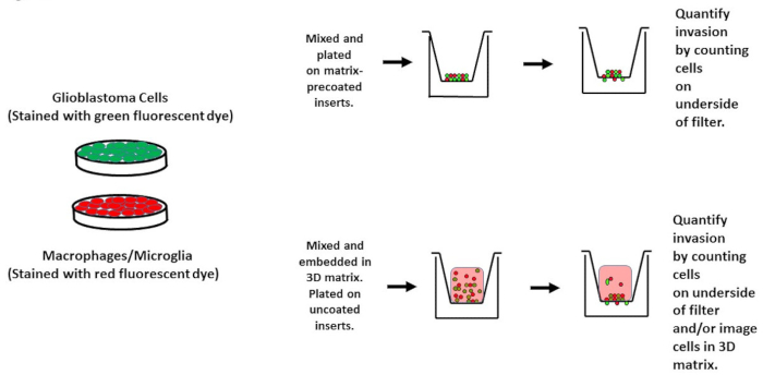 figure-results-1