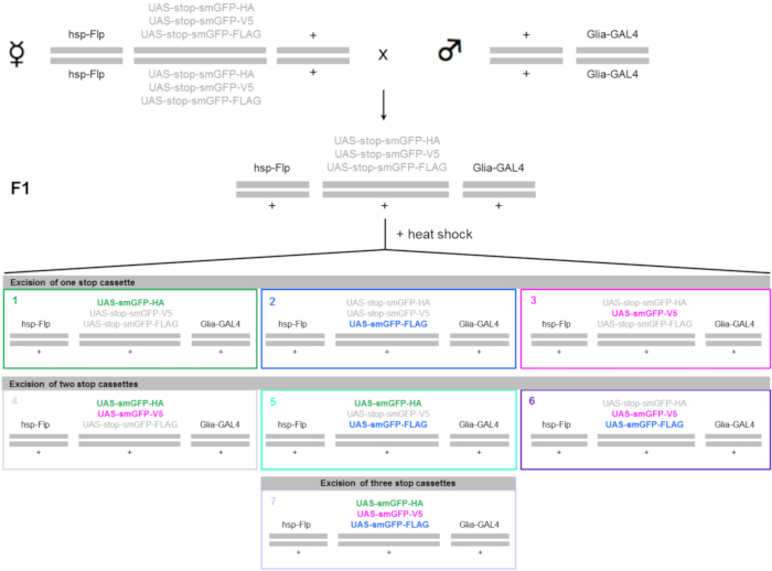 figure-results-1