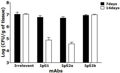 figure-protocol-5 Monoclonal antibodies' effect on bacterial load; bar chart; tissue CFU log over 7-14 days comparison.