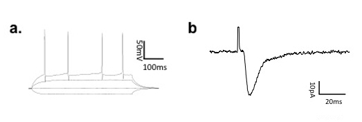 figure-protocol-2 figure-protocol-2
