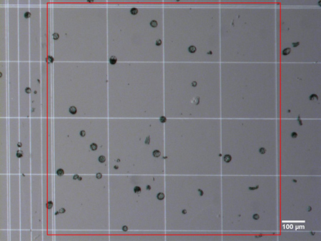figure-protocol-1 Microscope image, particle size analysis, grid view, optical measurement, scale bar 100 μm.