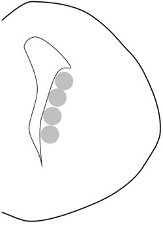 figure-protocol-1 Figura 1