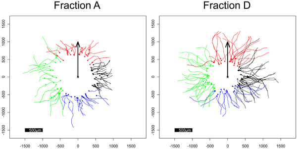 figure-protocol-3 Figura 3