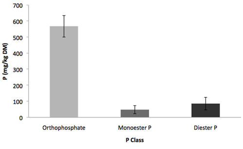 Bar chart of phosphorus distribution by class: orthophosphate, monoester P, diester P.