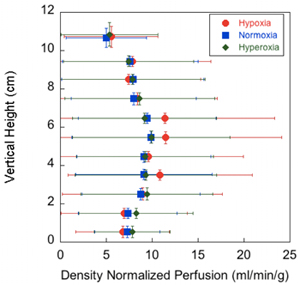 Density normalized perfusion graph; hypoxia, normoxia, hyperoxia; error bars; data analysis.