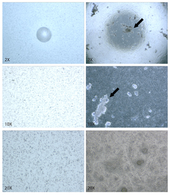 figure-protocol-2