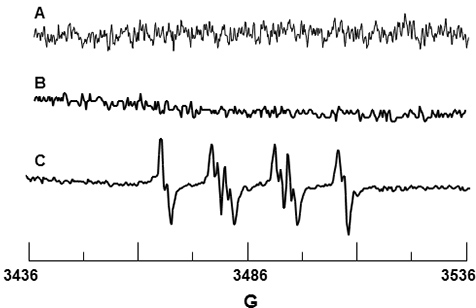 figure-protocol-3 spectral data plot; EPR results; magnetic field range; electron paramagnetic resonance analysis