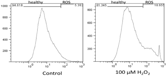 Flow cytometry graph, ROS analysis, control vs. 100 µM H2O2, oxidative stress measurement.