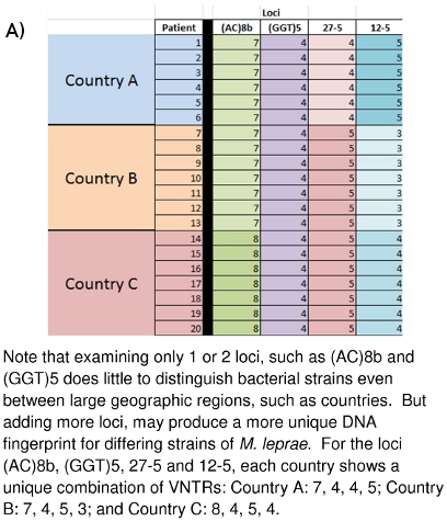 DNA profiling, VNTR loci, comparison chart for countries A, B, C; bacterial strain identification.